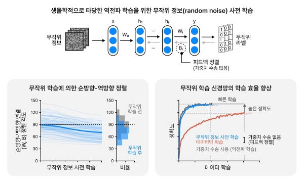 무작위 정보 훈련의 방법과 그 효과. [이미지=카이스트]